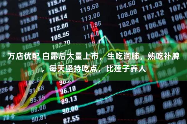 万店优配 白露后大量上市，生吃润肺，熟吃补脾，每天坚持吃点，比莲子养人