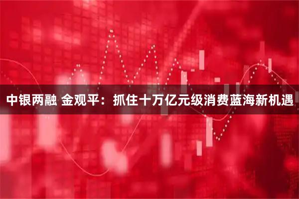 中银两融 金观平：抓住十万亿元级消费蓝海新机遇