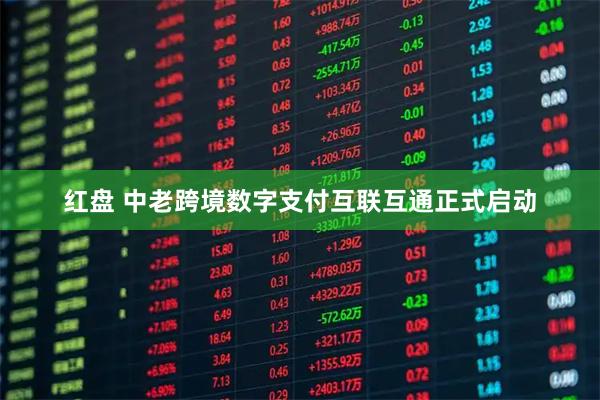 红盘 中老跨境数字支付互联互通正式启动